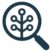 genealogicos.es